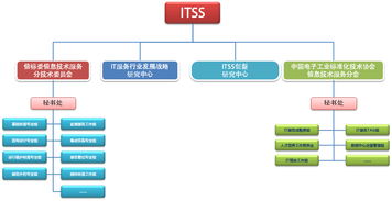 信息技術咨詢服務 推動行業標準化與創新發展